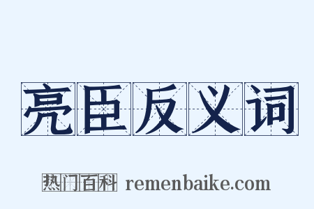 亮臣反义词是什么意思的图片